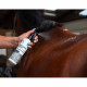 Chargement