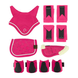 Set Mini accessoires Pony Academy Equithème rose