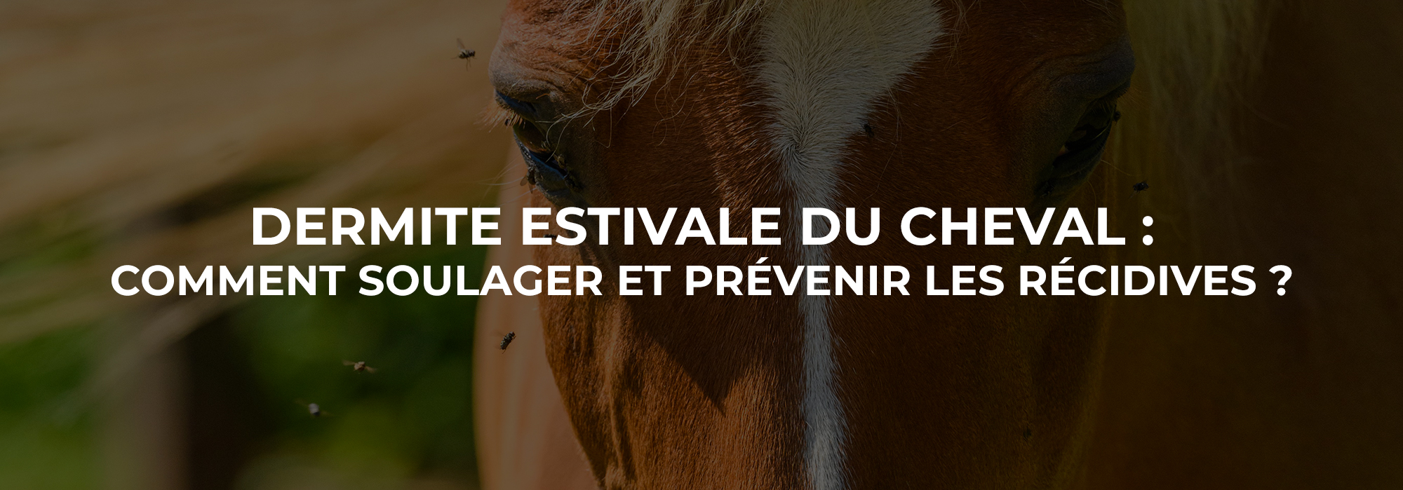 Chargement