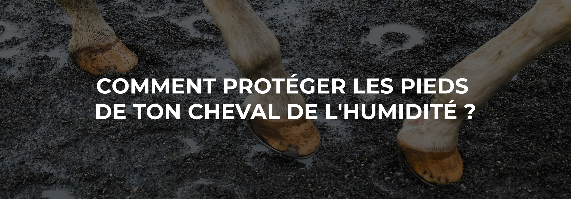 Chargement